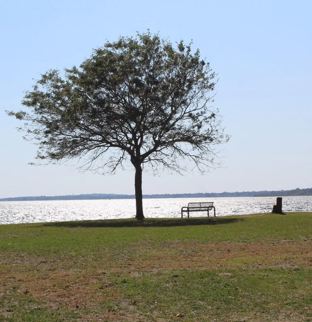 East Providence Recreation Department photo 8