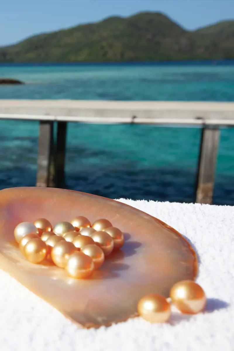 Imperial Pearl photo 9
