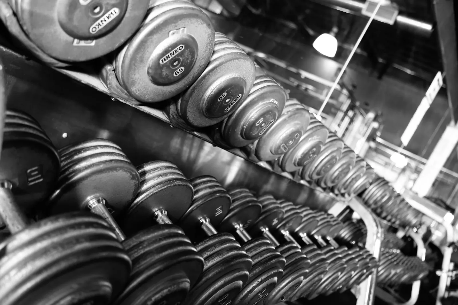 LM Fitness Center