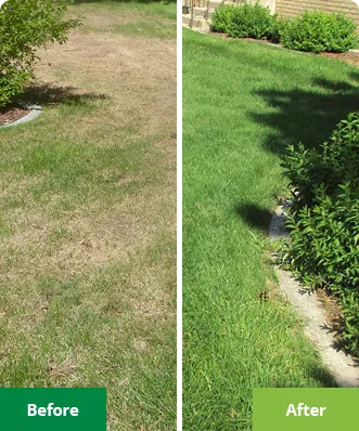 Lawn Doctor of Rhode Island photo 9