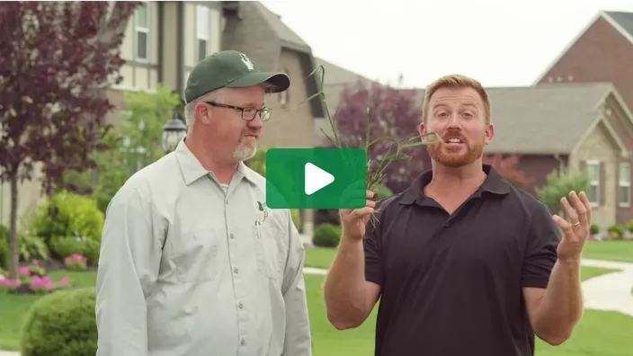 Lawn Doctor of Rhode Island photo 10