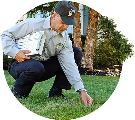 Lawn Doctor of Rhode Island photo 11