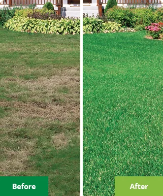 Lawn Doctor of Rhode Island photo 8