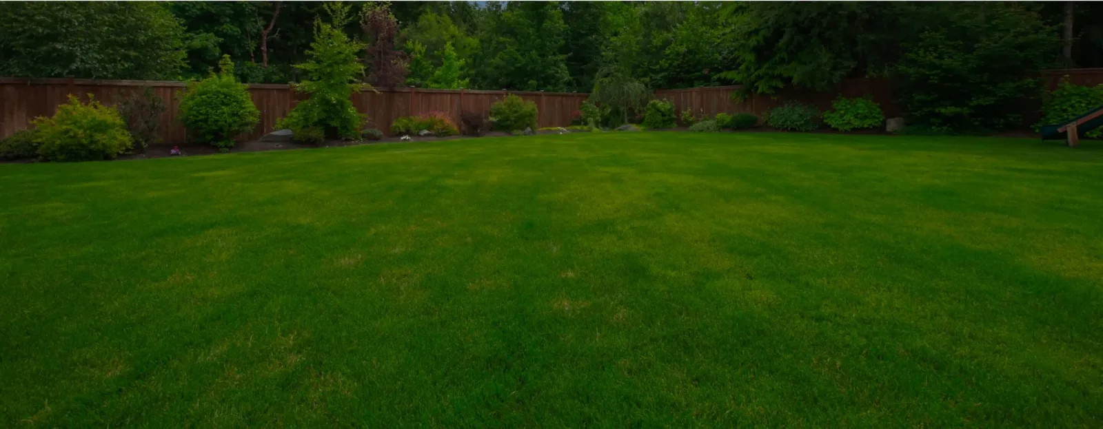 Lawn Doctor of Rhode Island photo 2