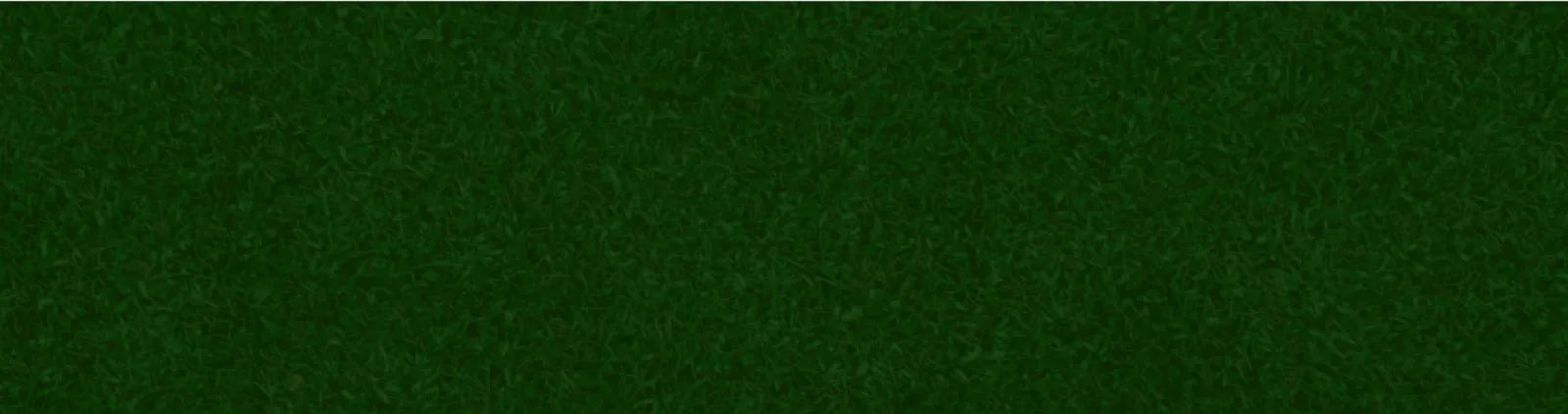 Lawn Doctor of Rhode Island photo 3