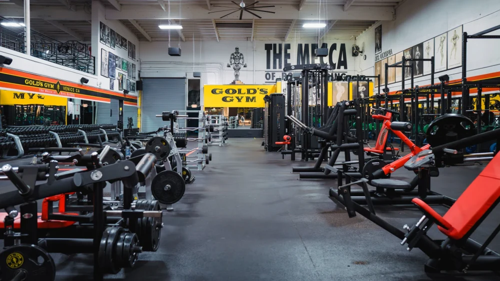Gold's Gym Venice logo