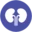 Nephrology Associates, Inc. logo