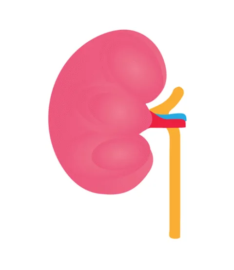 Nephrology Associates, Inc. photo 3