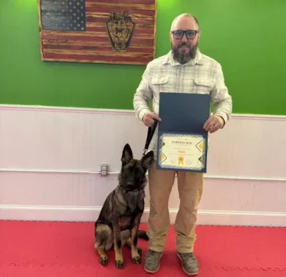 Strategic K-9 Training photo 8
