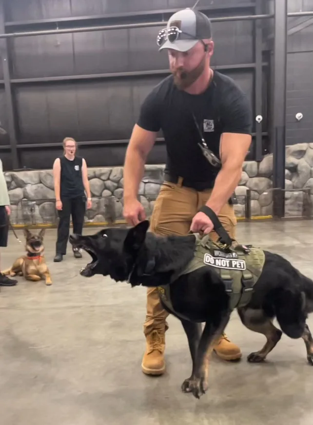 Strategic K-9 Training photo 3