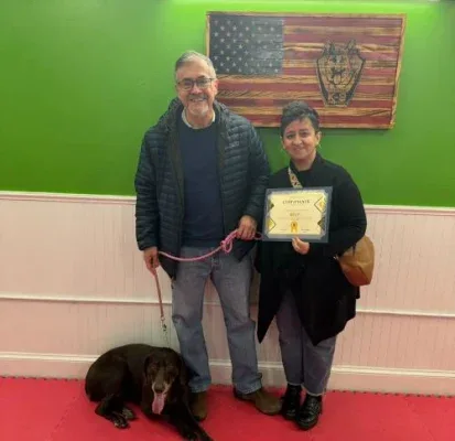 Strategic K-9 Training photo 6