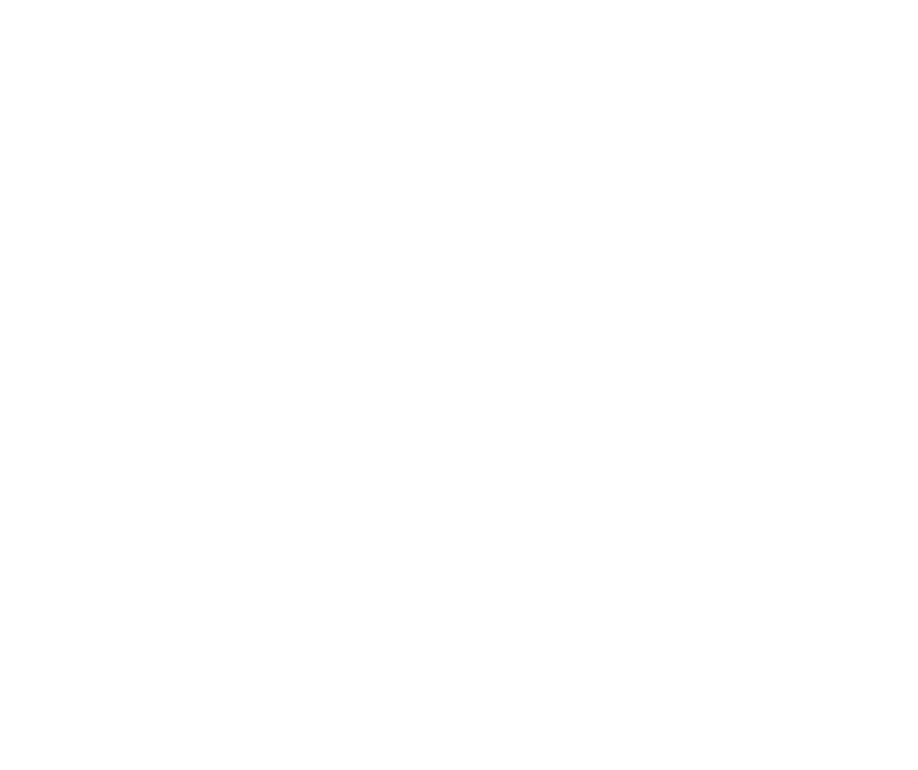 The Bottaro Law Firm, LLC logo