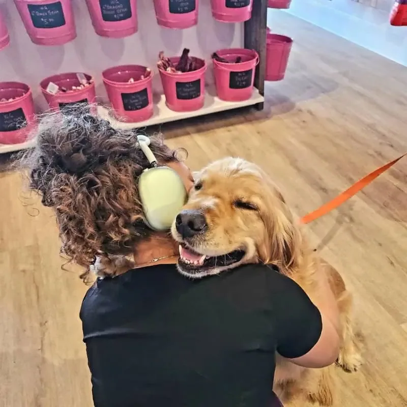 Woof Gang Bakery & Grooming WeHo photo 3