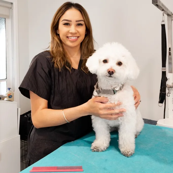 Groom - Dog Care With Love photo 8