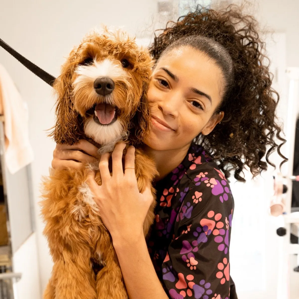 Groom - Dog Care With Love photo 4