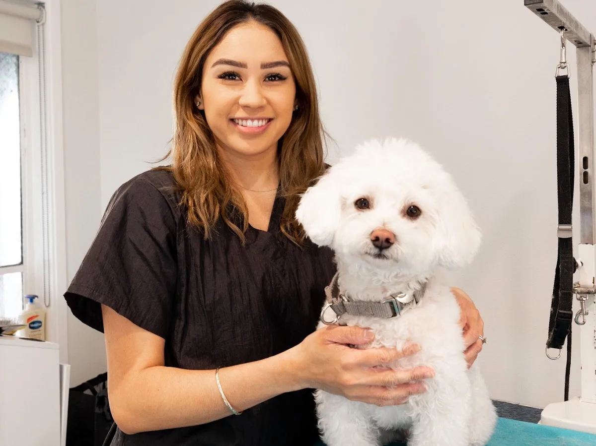 Groom - Dog Care With Love photo 7