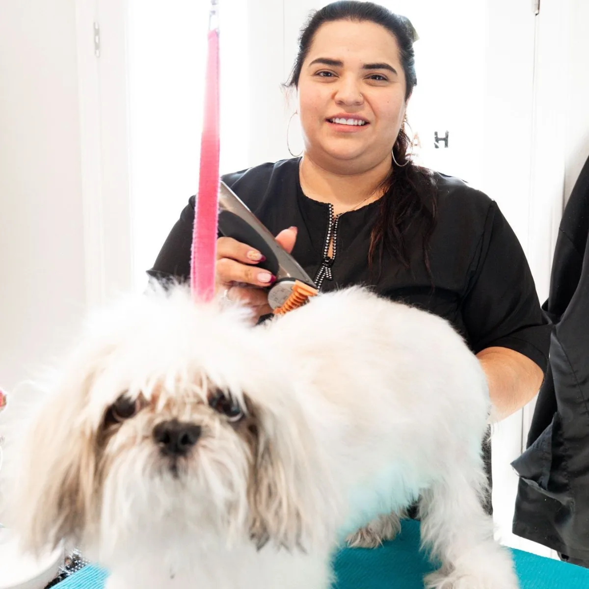 Groom - Dog Care With Love photo 5