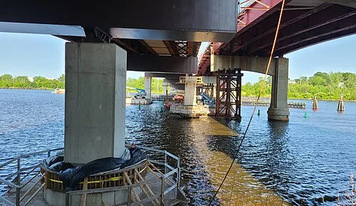 The Henderson Bridge photo 3
