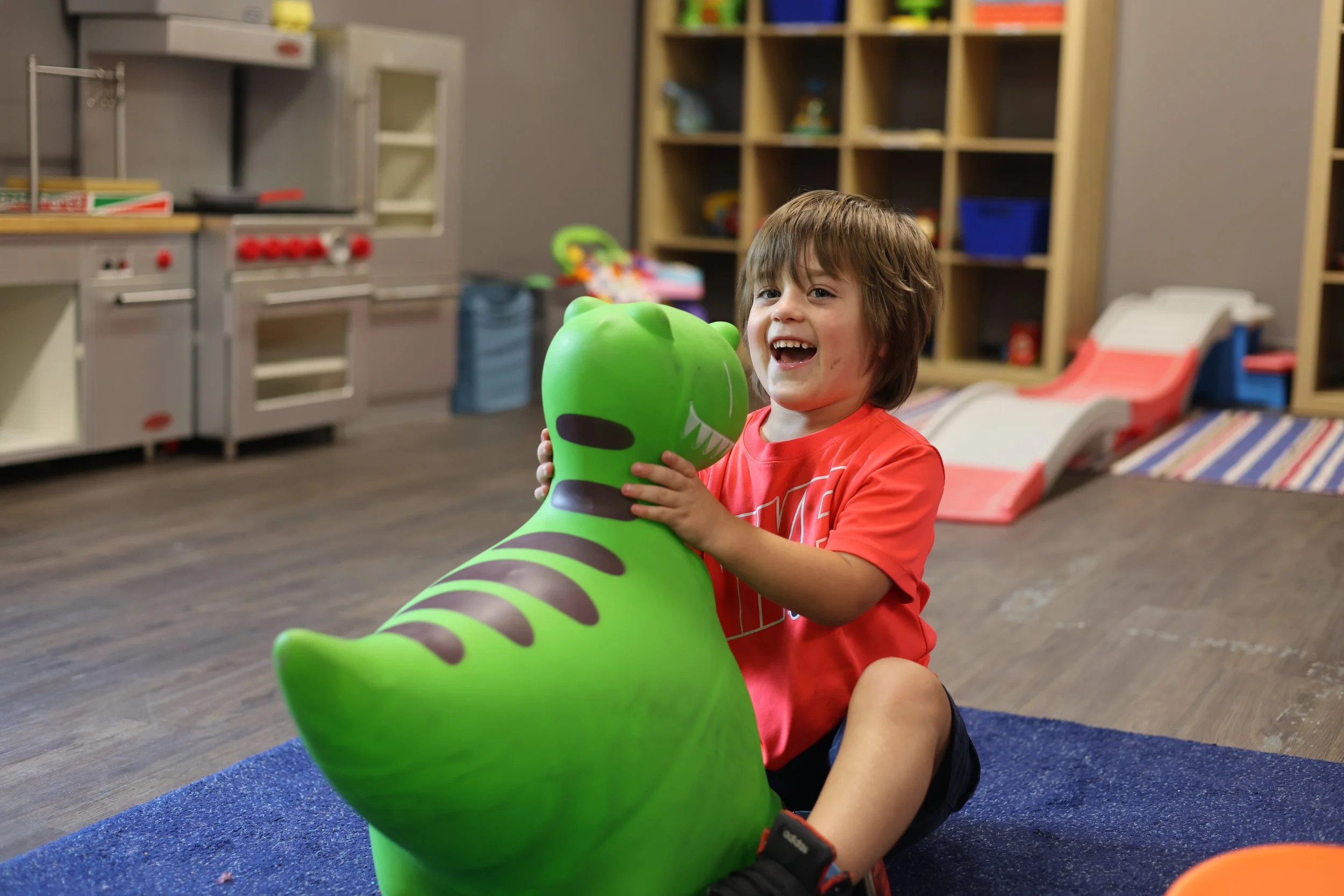 Boston Behavior Learning Centers