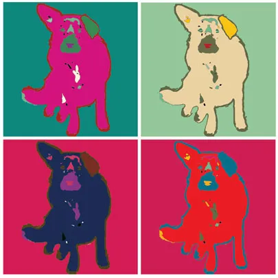 Moon Shine Grooming & Pet Wash