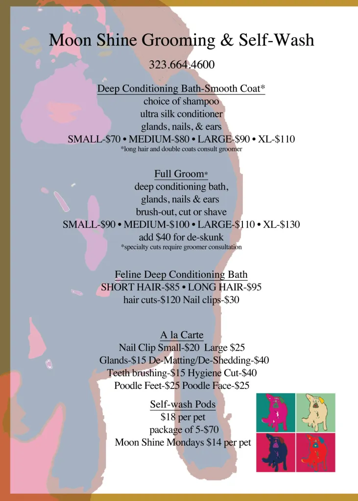 Moon Shine Grooming & Pet Wash photo 5