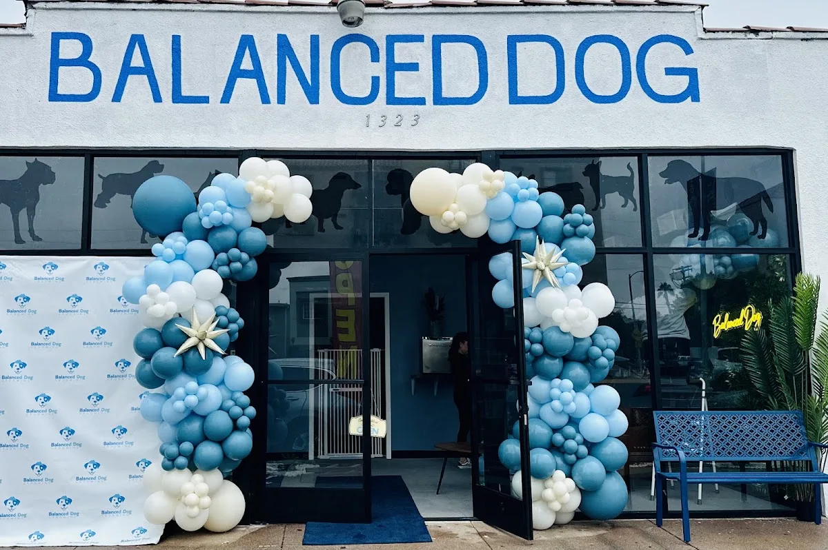 Balanced Dog Grooming photo 7