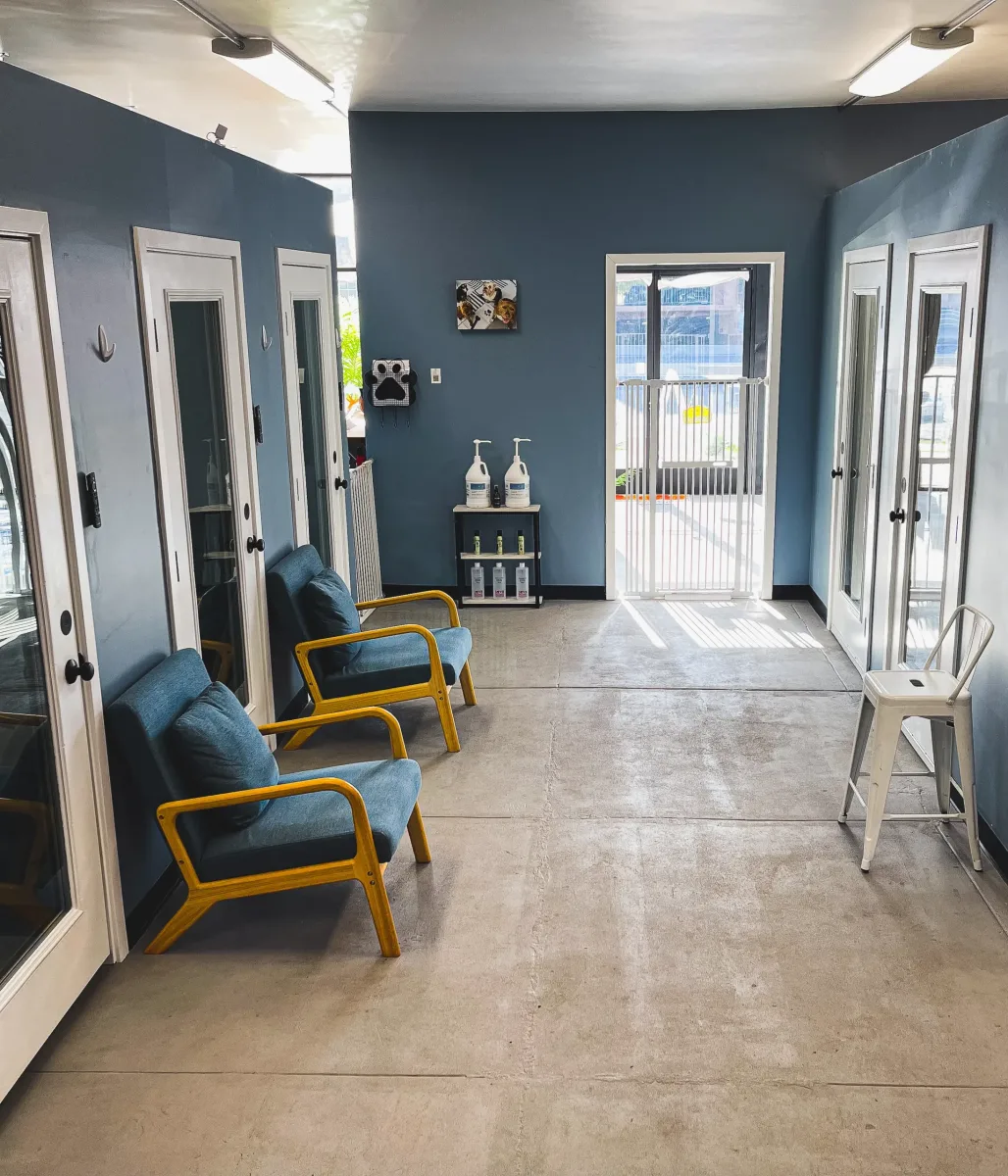 Balanced Dog Grooming photo 4