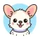 Cat the Dog Groomer logo