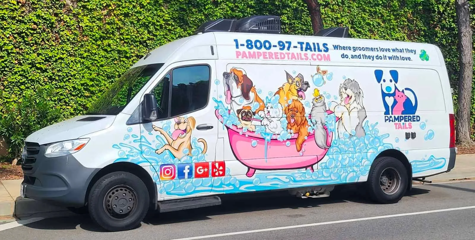 Pampered Tails photo 2