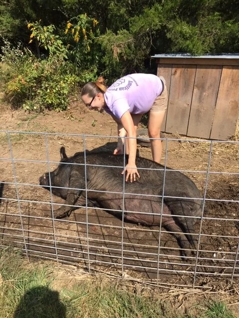 Cedar Valley Farm photo 3