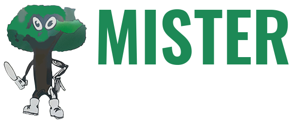 Mister Tree Inc