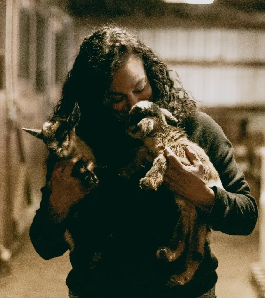 Silk Tree Farm photo 5