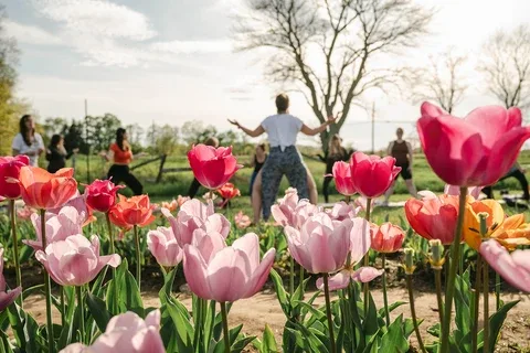Wicked Tulips Flower Farm photo 5