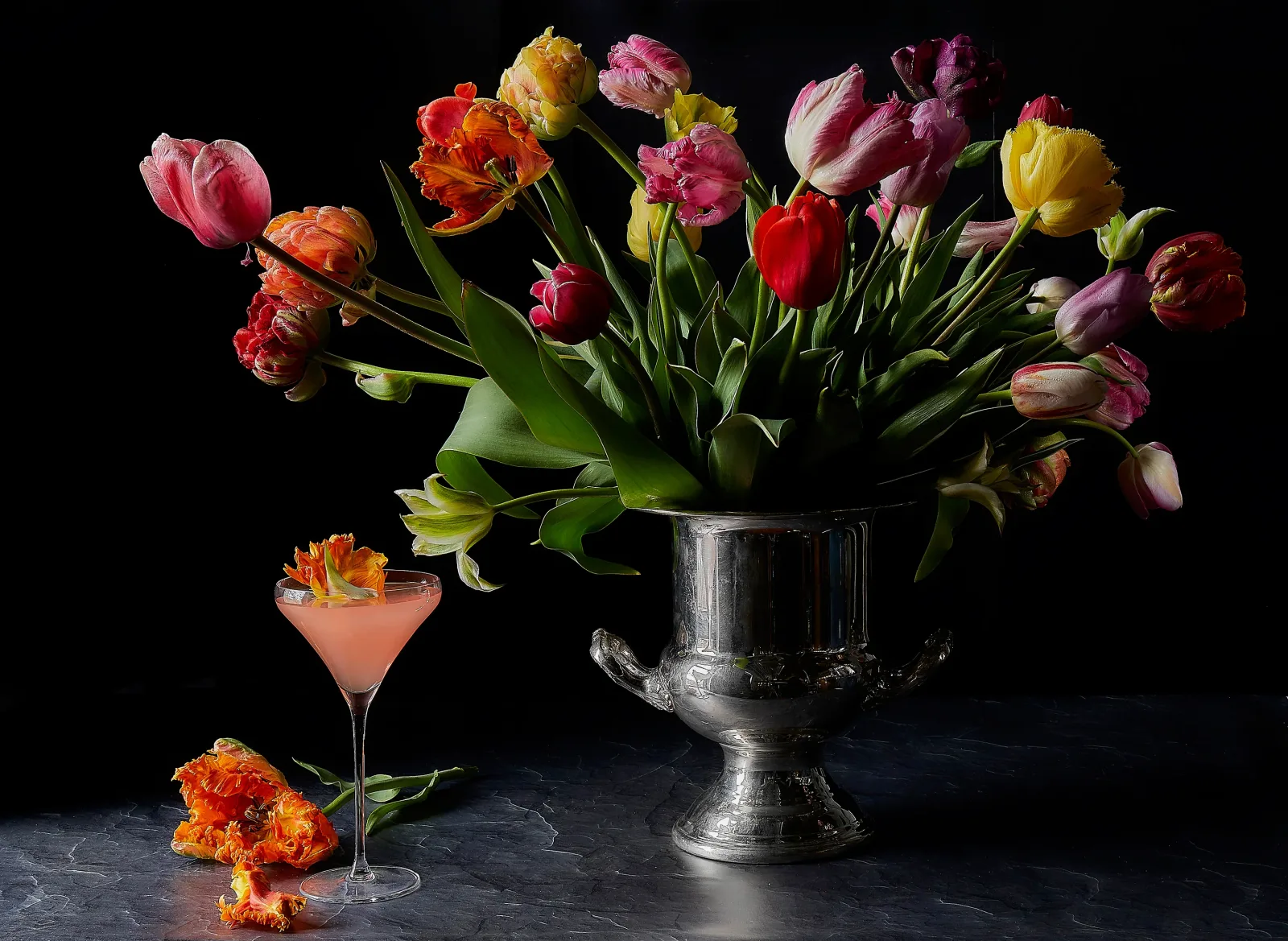 Wicked Tulips Flower Farm photo 7