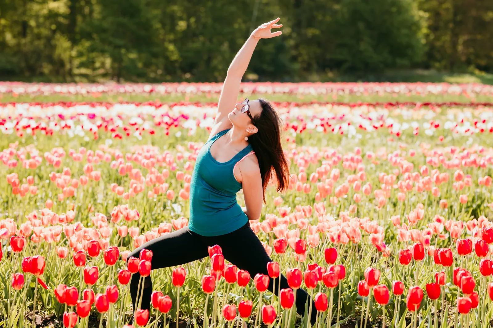 Wicked Tulips Flower Farm photo 4