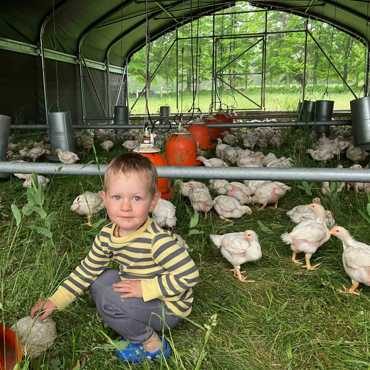Wild Harmony Farm photo 7