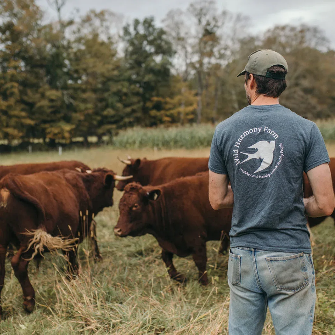 Wild Harmony Farm photo 5