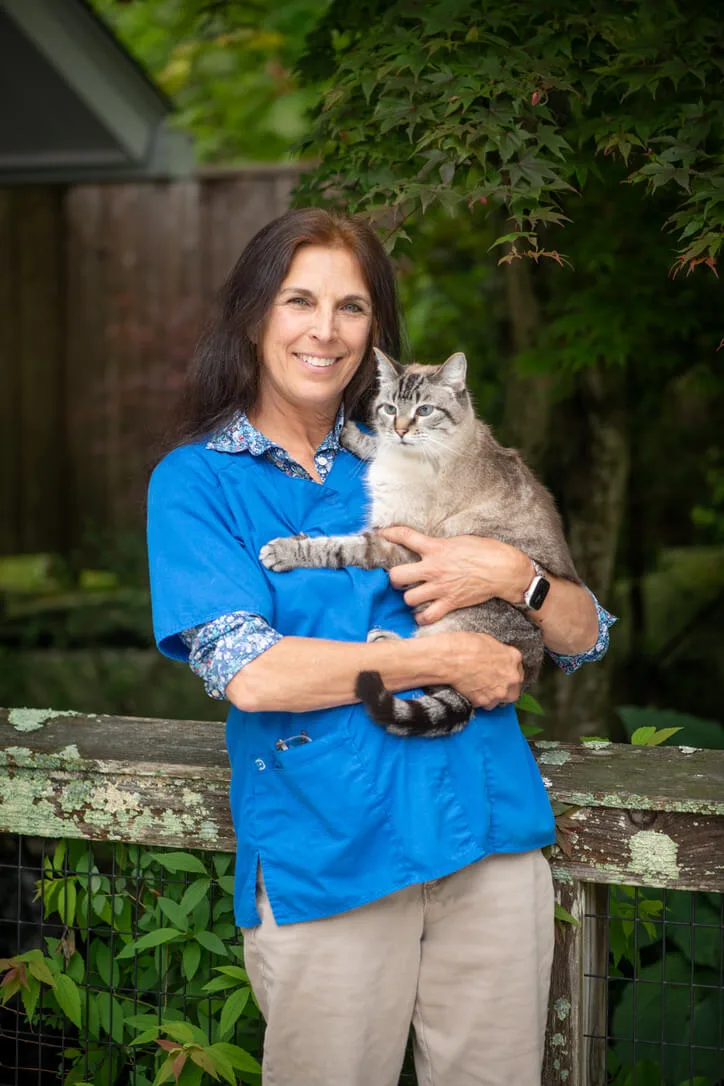 Wolf Rock Animal Health Center photo 11