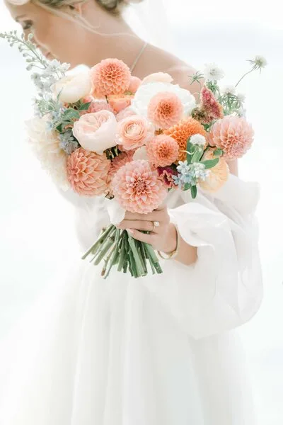 Sara Zarrella Photography photo 3