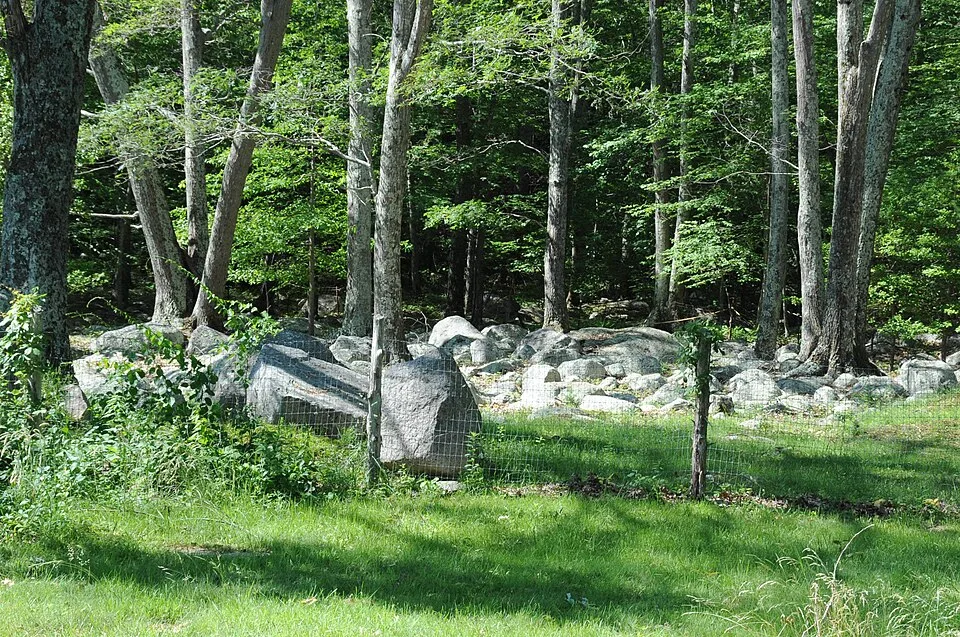 Queen's Fort photo 3