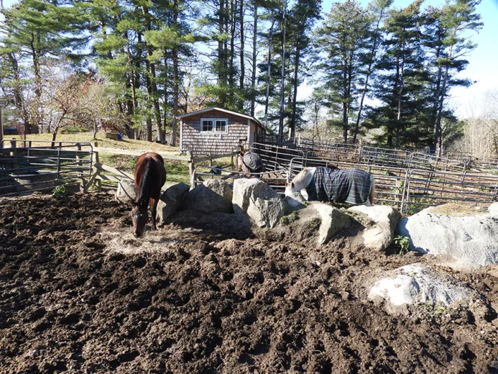 Cornerstone Farm photo 5