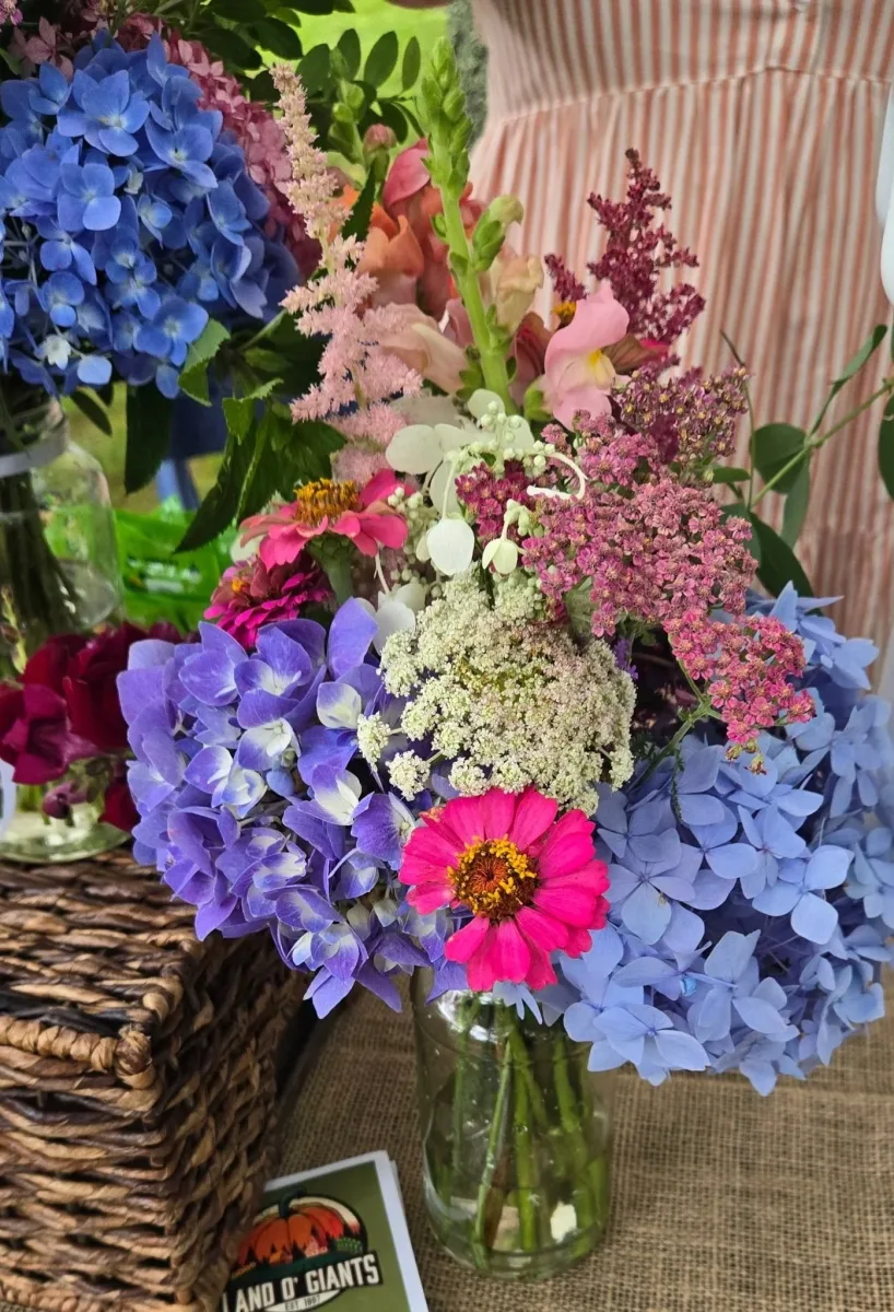 Foster Farmers’ Market photo 5
