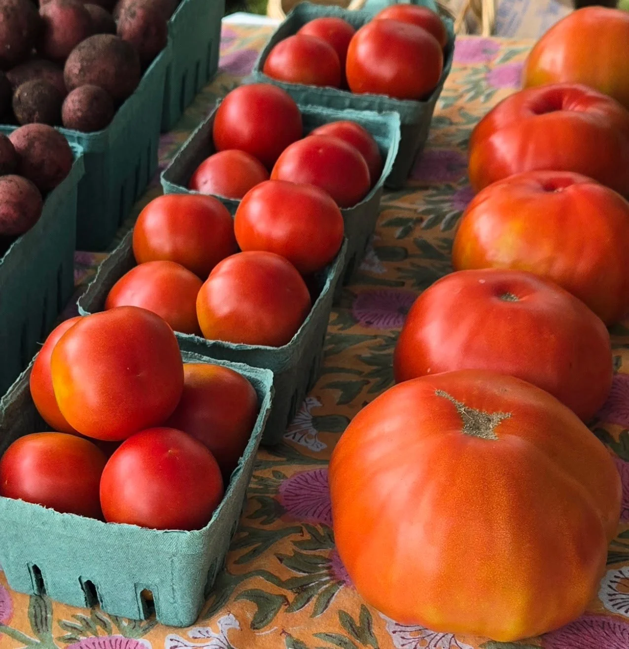 Foster Farmers’ Market photo 3