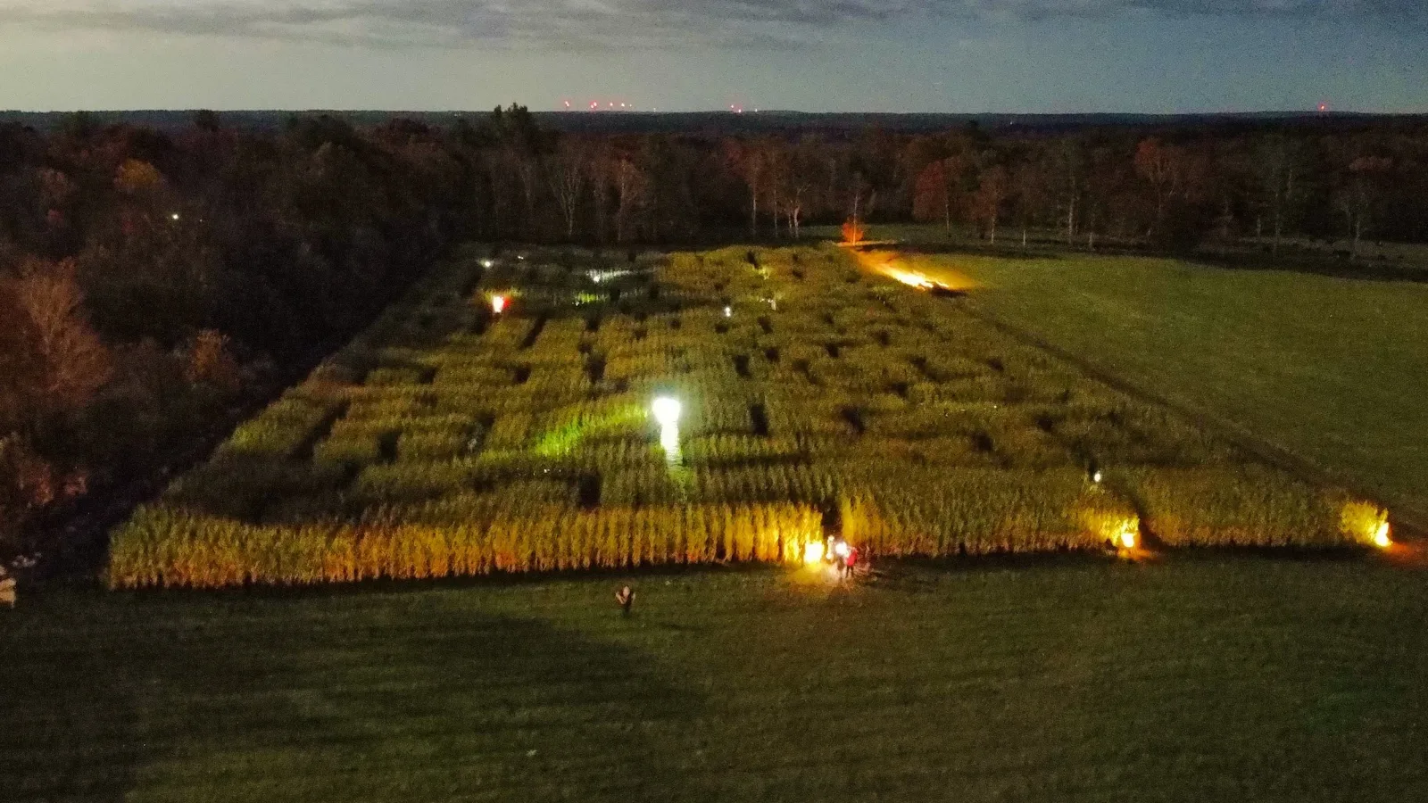Cucumber Hill Farm photo 11