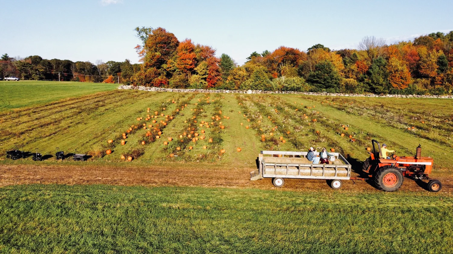 Cucumber Hill Farm photo 3