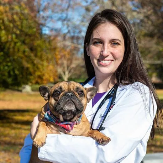 Foster Veterinary Clinic photo 12
