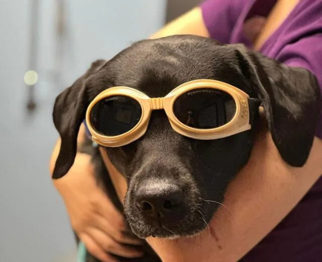 Foster Veterinary Clinic photo 10