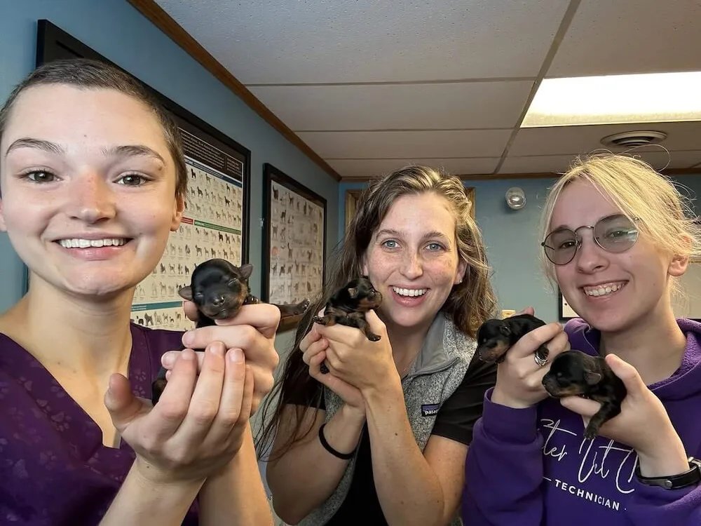 Foster Veterinary Clinic