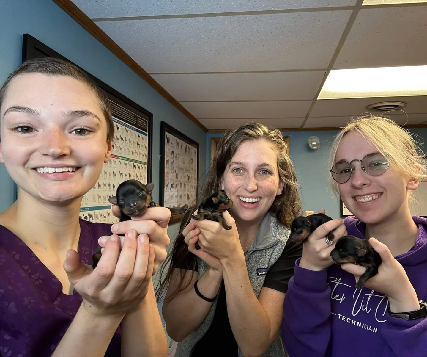 Foster Veterinary Clinic photo 5