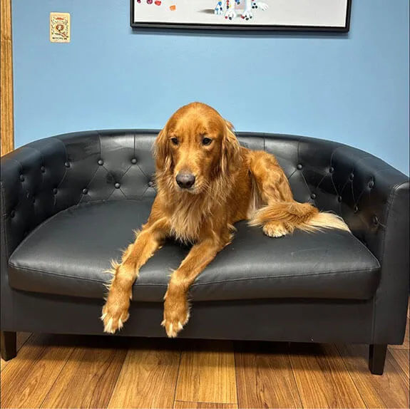Foster Veterinary Clinic photo 4